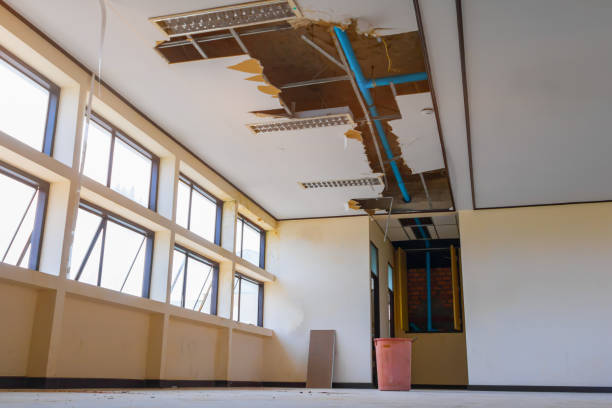 Best 24-hour water damage restoration  in Lexington Park, MD