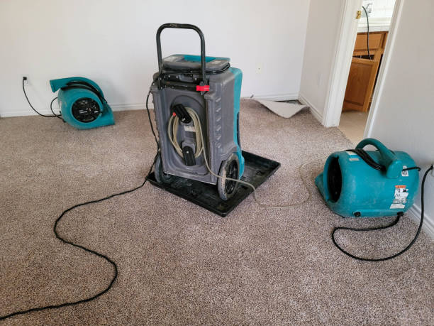 Best Flood restoration services  in Lexington Park, MD