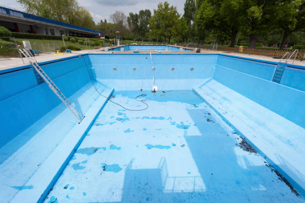 Best Basement water damage restoration  in Lexington Park, MD