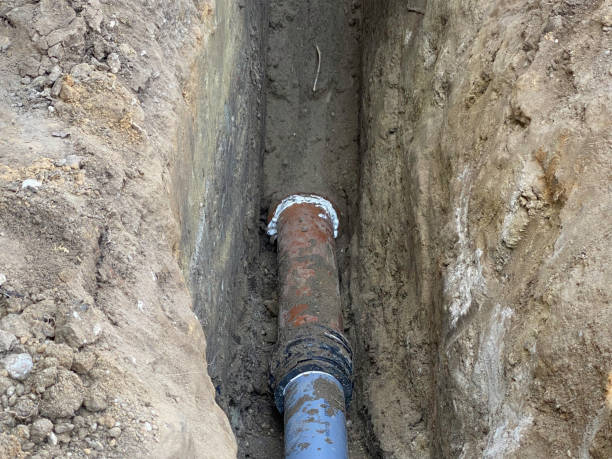 Best 24/7 water damage repair  in Lexington Park, MD