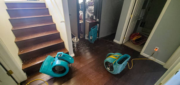  Lexington Park, MD Water damage restoration Pros