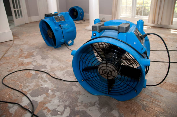 Best Emergency water damage restoration  in Lexington Park, MD