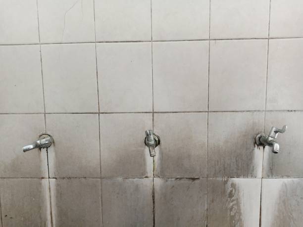 Best Ceiling water damage repair  in Lexington Park, MD