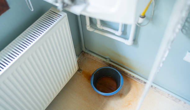 Best Water damage restoration near me  in Lexington Park, MD