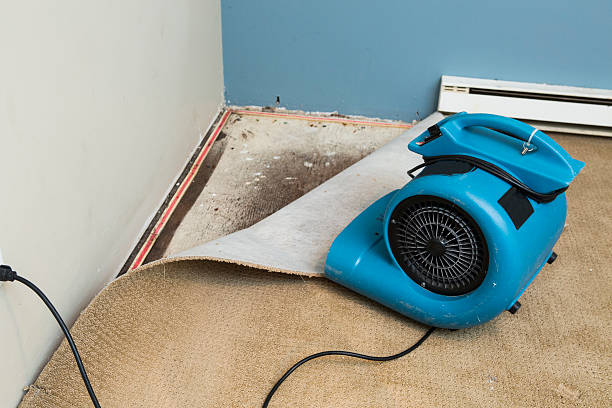 Best Commercial water damage restoration  in Lexington Park, MD